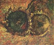 Vincent Van Gogh Two Cut Sunflowers (nn04) USA oil painting reproduction